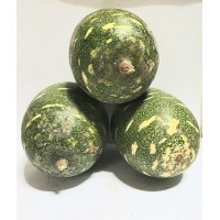 Christmas Melon (ITAGIRI)